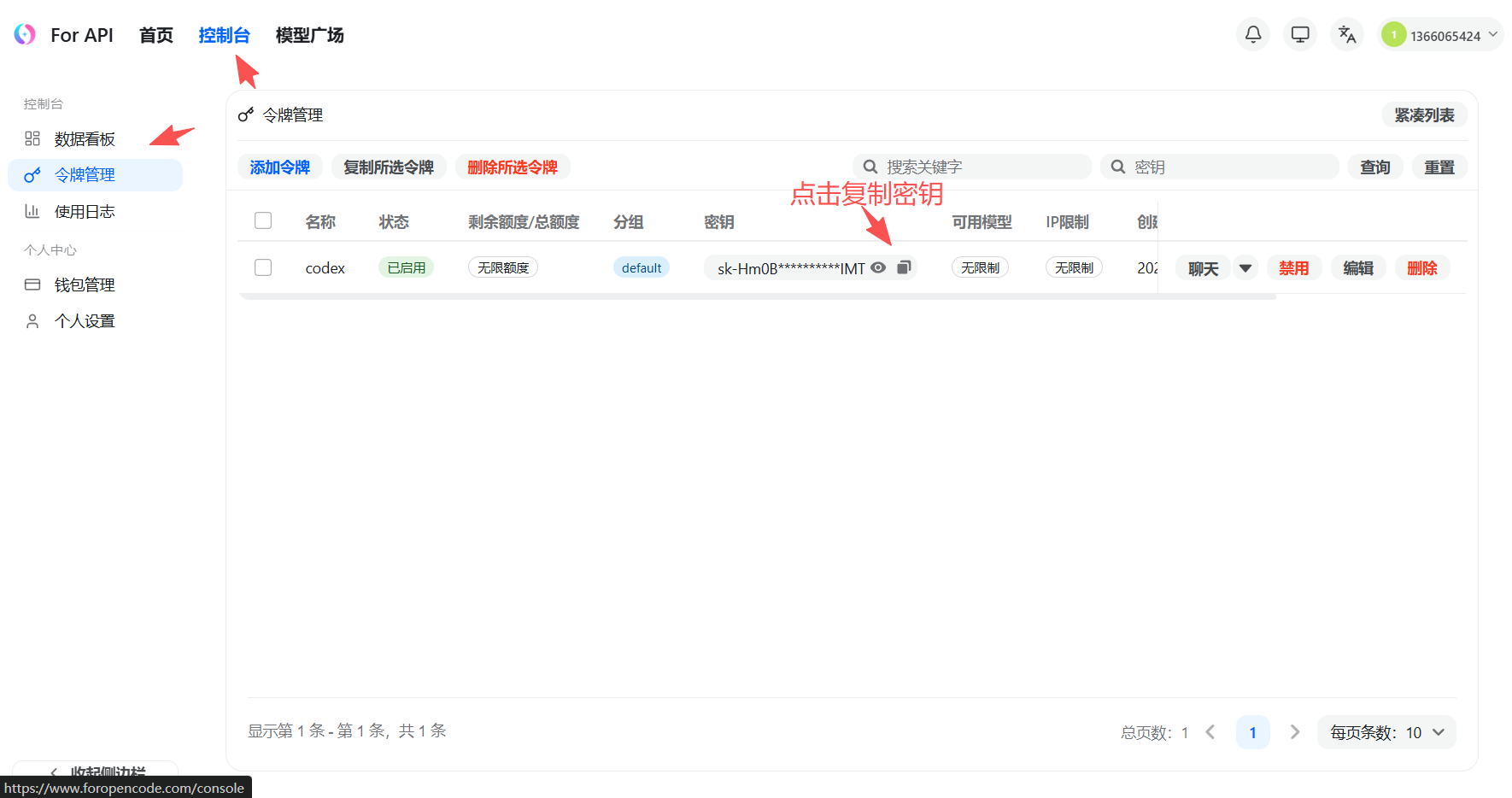 在令牌列表中复制刚创建的 API Key